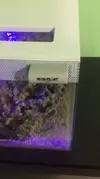 [TodoMarino.com] Fluval Flex 34 L  -  Flame of Udun Reef