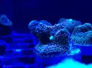 [TodoMarino.com] FOTOS DEL ACUARIO… PERFECTAS.