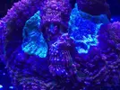 [TodoMarino.com] FOTOS DEL ACUARIO… PERFECTAS.