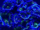 [TodoMarino.com] FOTOS DEL ACUARIO… PERFECTAS.