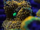 [TodoMarino.com] FOTOS DEL ACUARIO… PERFECTAS.