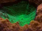 [TodoMarino.com] FOTOS DEL ACUARIO… PERFECTAS.