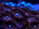 [TodoMarino.com] FOTOS DEL ACUARIO… PERFECTAS.