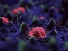 [TodoMarino.com] FOTOS DEL ACUARIO… PERFECTAS.