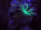 [TodoMarino.com] FOTOS DEL ACUARIO… PERFECTAS.
