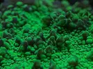 [TodoMarino.com] FOTOS DEL ACUARIO… PERFECTAS.