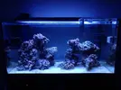 [TodoMarino.com] Nuevo acuario 250L Novato