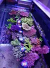 [TodoMarino.com] Mi marino mix 430