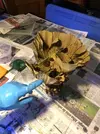 [TodoMarino.com] Vendo corales con roca viva - Lleida