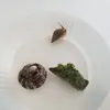 [TodoMarino.com] 640 L en Toledo - @Reefrugab