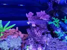 [TodoMarino.com] Mi marino mix 430