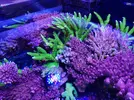 [TodoMarino.com] Mi marino mix 430