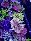 [TodoMarino.com] Mi marino mix 430