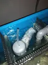 [TodoMarino.com] Silenciar ACUARIO