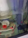 [TodoMarino.com] Silenciar ACUARIO
