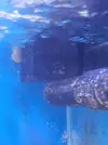 [TodoMarino.com] Silenciar ACUARIO