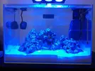 [TodoMarino.com] Mi Nano Blau 38 litros