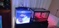 [TodoMarino.com] PapasReef