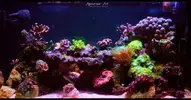[TodoMarino.com] Proyecto Nano 50 Litros