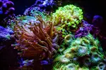 [TodoMarino.com] Proyecto Nano 50 Litros