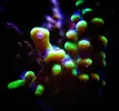 [TodoMarino.com] Proyecto Nano 50 Litros