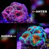 [TodoMarino.com] Proyecto Nano 50 Litros