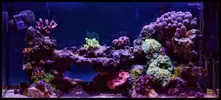 [TodoMarino.com] Proyecto Nano 50 Litros