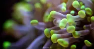 [TodoMarino.com] Proyecto Nano 50 Litros