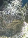 [TodoMarino.com] Rocas con Problemas?