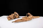 [TodoMarino.com] SHRIMP WOOD | La nueva madera de Bonsaqua