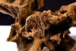 [TodoMarino.com] SHRIMP WOOD | La nueva madera de Bonsaqua