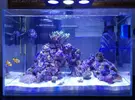 [TodoMarino.com] Nuevo con un nano de 30Lts