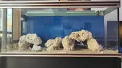 [TodoMarino.com] Nuevo 450l desde el 90l