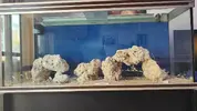[TodoMarino.com] Nuevo 450l desde el 90l