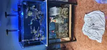 [TodoMarino.com] Vendo acuario marino 92x50x50