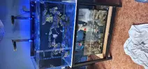 [TodoMarino.com] Vendo acuario marino 92x50x50