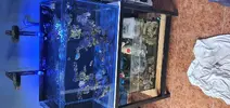 [TodoMarino.com] Vendo acuario marino 92x50x50