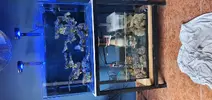 [TodoMarino.com] Vendo acuario marino 92x50x50