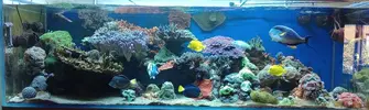 [TodoMarino.com] Conger experience