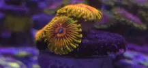 [TodoMarino.com] Stratosphere