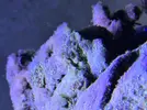 [TodoMarino.com] Pelusa blanca sobre rocas y cristales