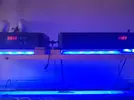 [TodoMarino.com] Caja china Phlizon- reloj se atrasa