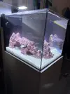 [TodoMarino.com] Teno Reef 80l