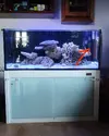 [TodoMarino.com] Colgar pantalla luminaled de BLAU