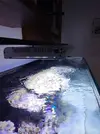 [TodoMarino.com] Colgar pantalla luminaled de BLAU