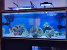 [TodoMarino.com] Nuevo 450l desde el 90l