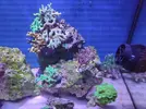 [TodoMarino.com] Nuevo 450l desde el 90l