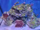 [TodoMarino.com] Nuevo 450l desde el 90l