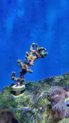 [TodoMarino.com] Nuevo 450l desde el 90l