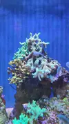 [TodoMarino.com] Nuevo 450l desde el 90l